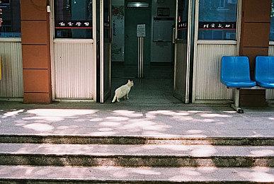 西装山姆？礼服芙拉吉尔？小岛秀夫公开部分《死亡搁浅2》角色设计草图
